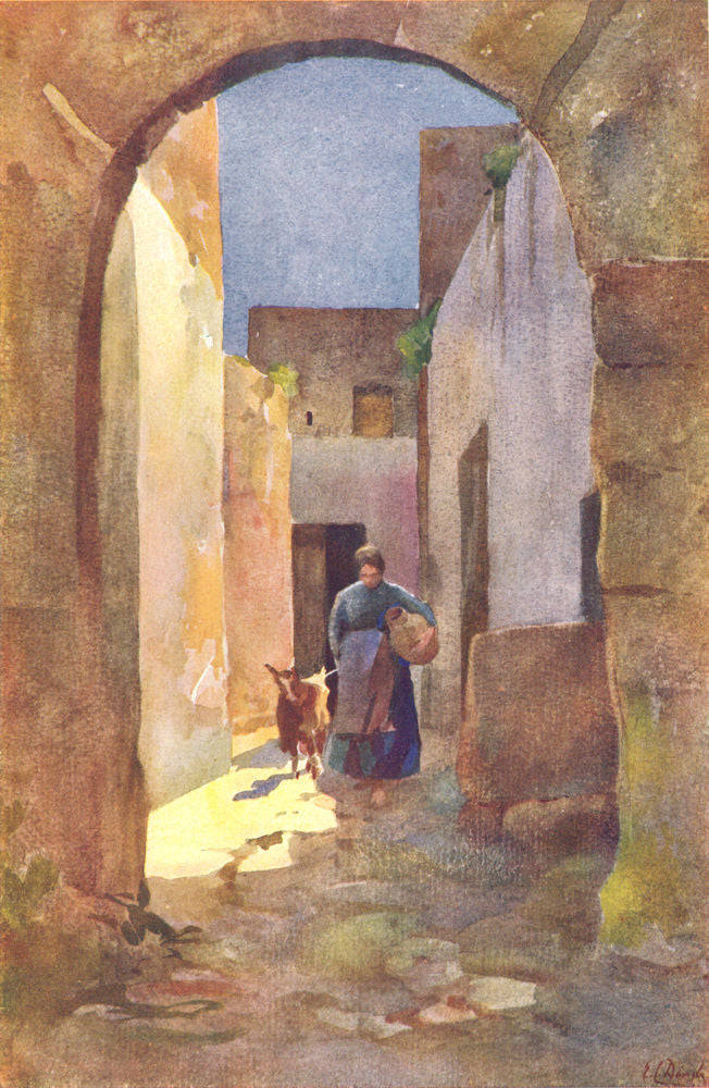 MALTA. Country Lane (Dingli) 1927 old vintage print picture